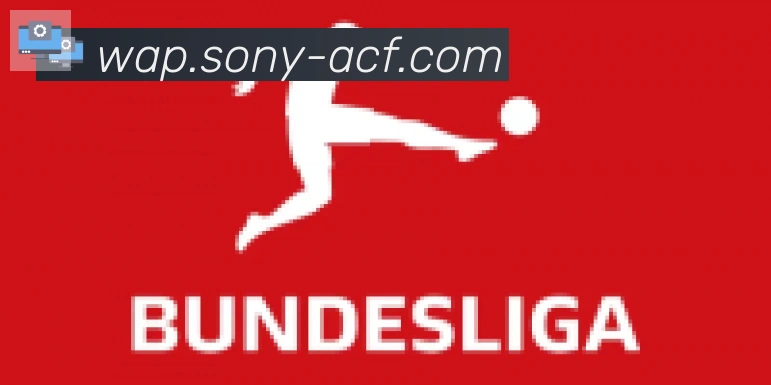 开云官方手机网页版合作伙伴