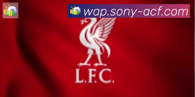 开云官方手机网页版合作伙伴