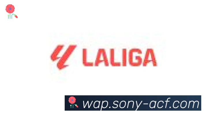 开云官方手机网页版合作伙伴