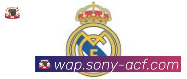 开云官方手机网页版合作伙伴